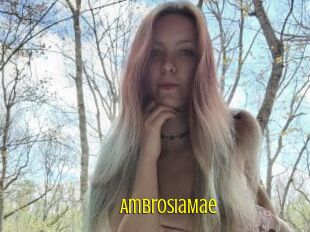 AmbrosiaMae
