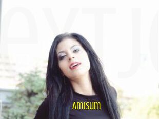 AmiSum
