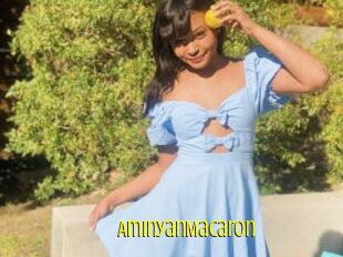 AminyanMacaron