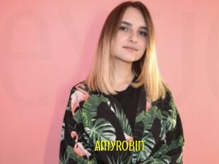 AmyRobin