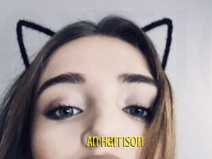 An_Harrison