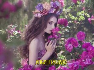 AngelFlyLaVid