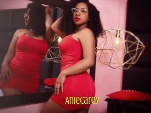 AnieCarey