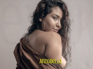 AntoBella