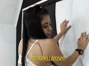 Antonellarosen