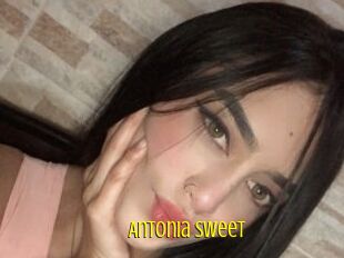 Antonia_sweet