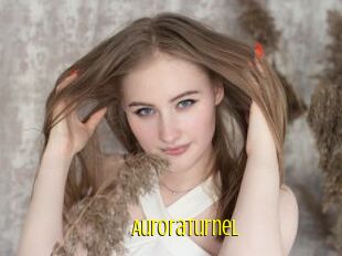 AuroraTurnel