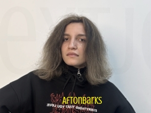 Aftonbarks