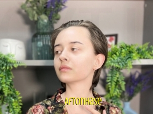 Aftonhase