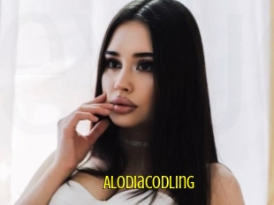 Alodiacodling
