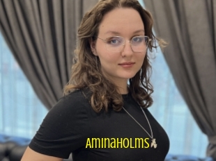 Aminaholms