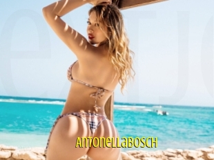 Antonellabosch