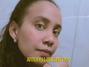 Antonellabrunettee