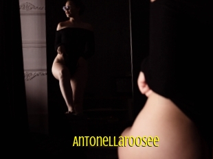 Antonellaroosee
