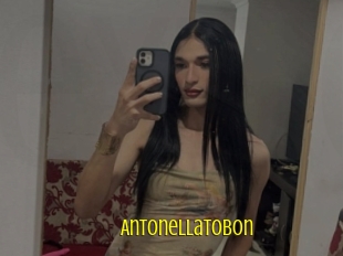 Antonellatobon