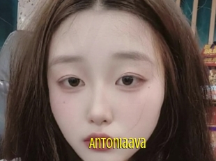 Antoniaava