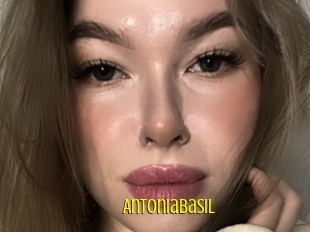 Antoniabasil