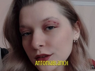Antoniablanch