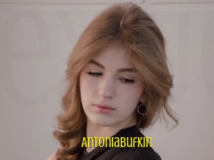 Antoniabufkin