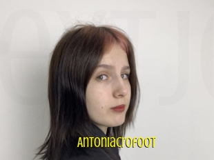 Antoniacrofoot