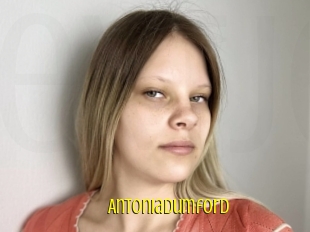 Antoniadumford