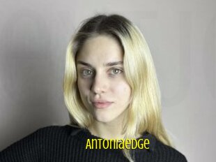 Antoniaedge