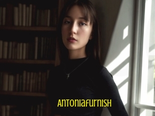 Antoniafurnish