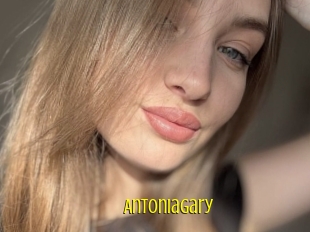 Antoniagary
