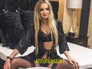 Antoniahaart