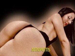 Antopettis