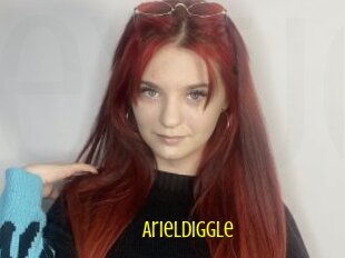 Arieldiggle