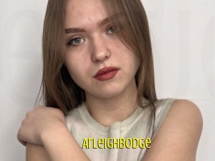 Arleighbodge
