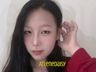 Arlenedaisy