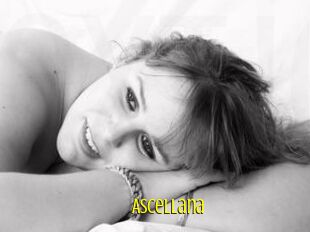 Ascellana