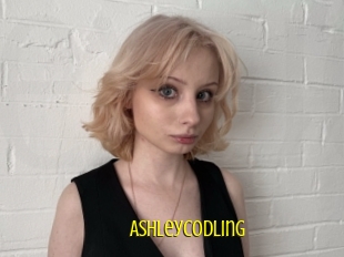 Ashleycodling
