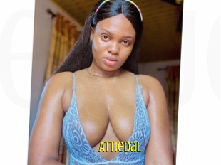 Attiedal