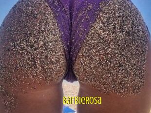 BarbieRosa