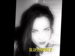 Blueladybird