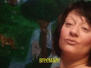 Bree_Maze