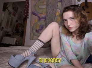 BrieHoney