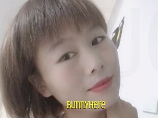 Bunnyhere