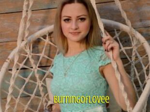 BurningOfLovee