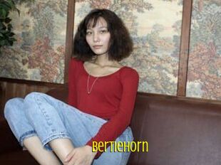 Bertiehorn