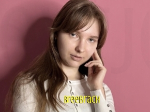 Breebrach