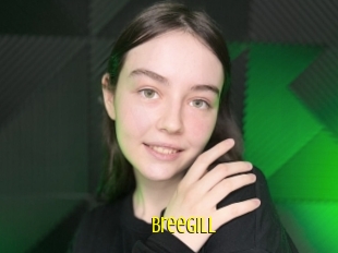 Breegill