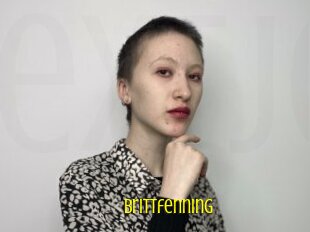 Brittfenning