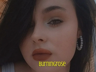 Burningrose