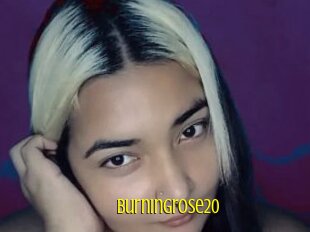 Burningrose20
