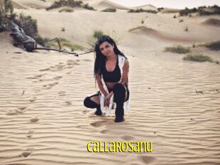 CallaRosanu