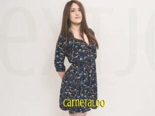 CarnetaLoo